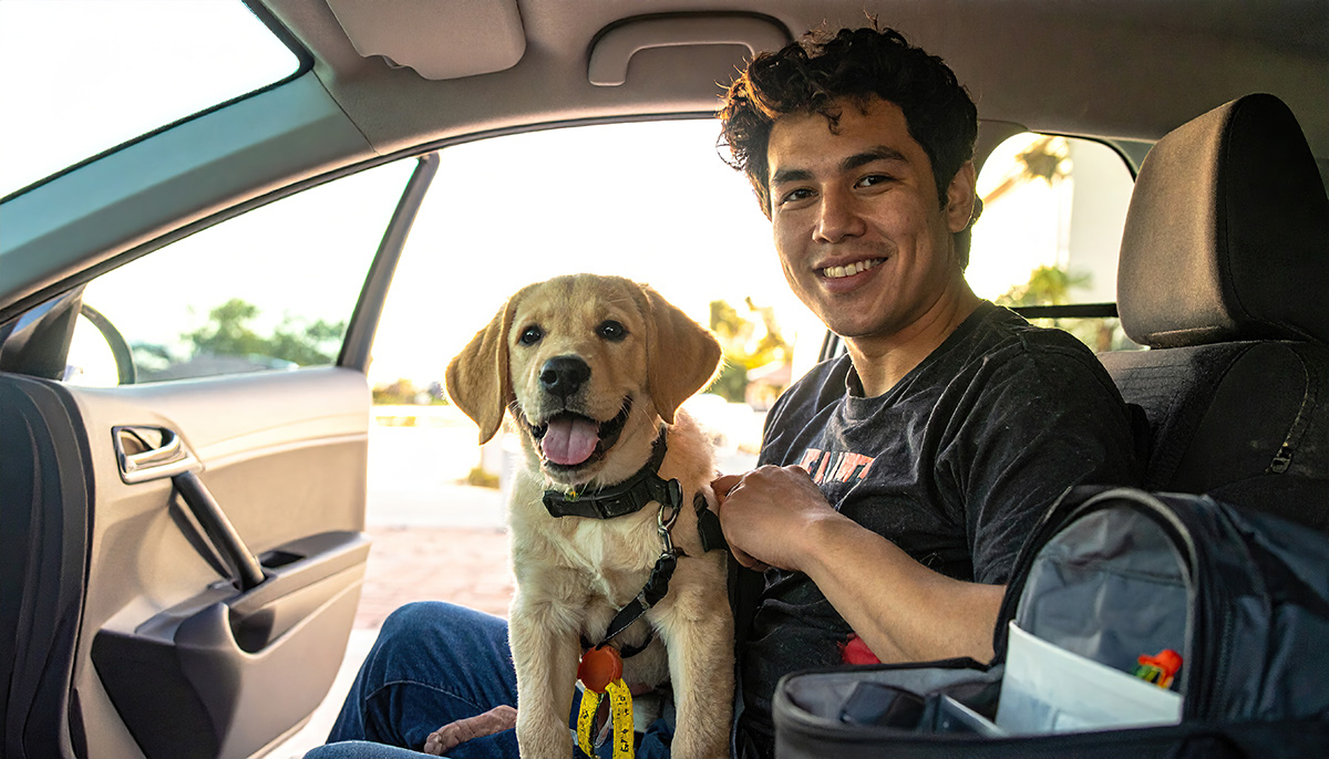 Traveling with a Puppy in Car