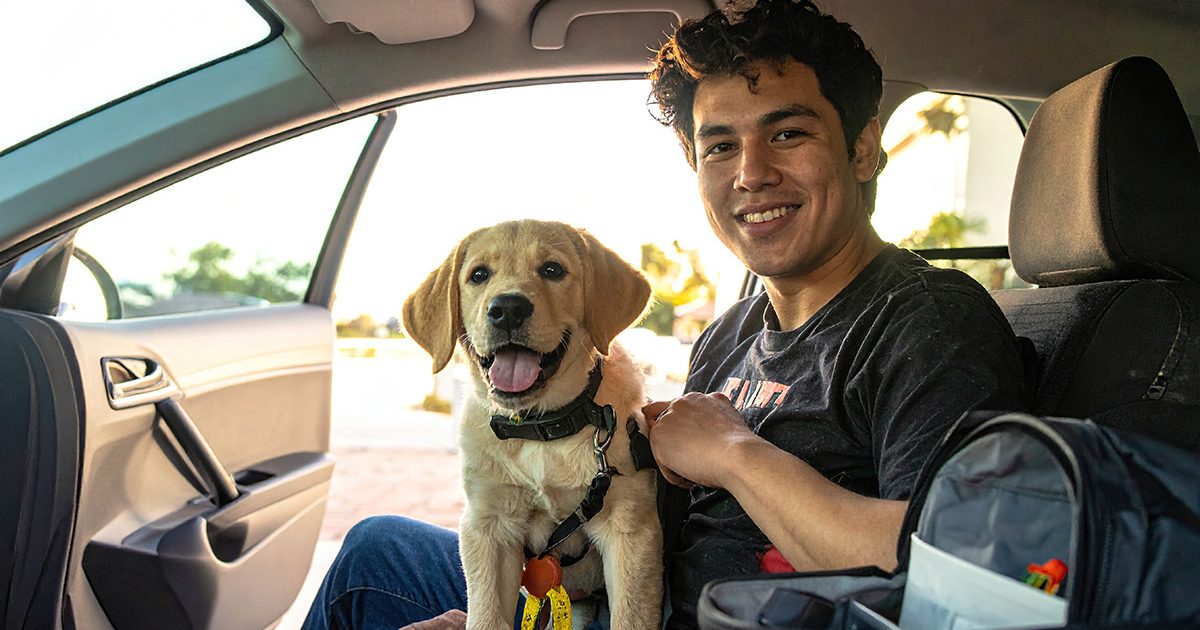 Traveling with a Puppy in Car